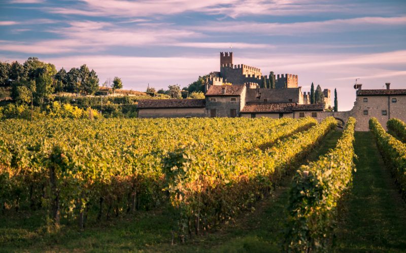 Il Soave: storie di cavalieri e di grandi vini